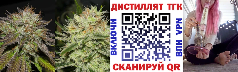 дарнет шоп  Зеленодольск  ТГК THC oil 