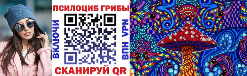Галлюциногенные грибы Psilocybe  магазин продажи наркотиков  Зеленодольск 