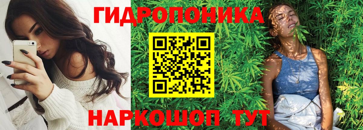 Каннабис гибрид Зеленодольск